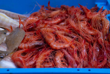 Palamos red prawn in a fish shop
