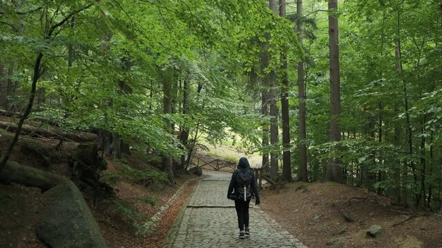 woman walking in  woods, handheld