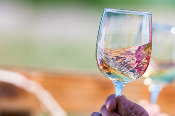 Hand holds two glasses with white wine next to grapes in nature