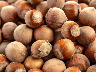 Hazelnut.Hazelnut kernels lie on yellow autumn leaves.