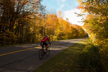 Man cycling in the autumn forest: Street in the Gatineau Park, Quebec