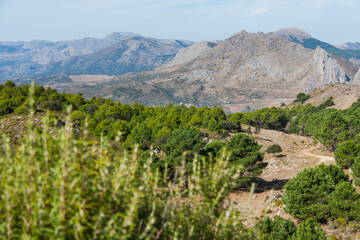 La Maroma, montaña y pico del Parque Natural de Las Sierras de Tejeda, Almijara y Alhama, naturaleza, campo y animales entre Málaga y Granada, en la comunidad de Andalucía, país de España