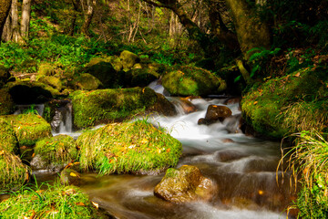 鳥取　秋の奥大山　木谷沢渓流