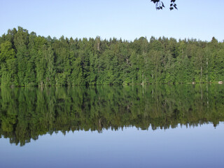 forest reflection on the surface of the lake