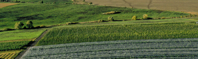 Fototapeta premium Aerial view of plastic greenhouse on apple orchard. Plant cultivation in organic farming.