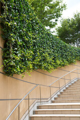 温暖化を防止する屋上の植栽