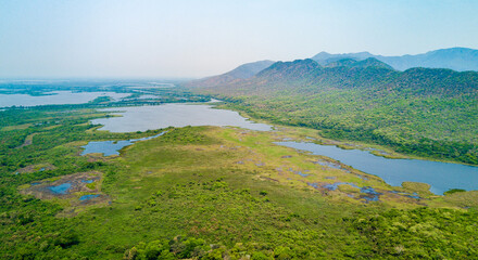 Pantanal