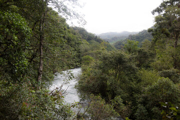 Corriente de río en área de conservación, parque nacional natural.