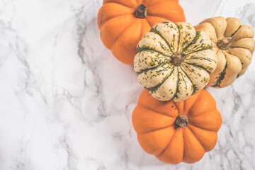 Close Up of the Gourds 