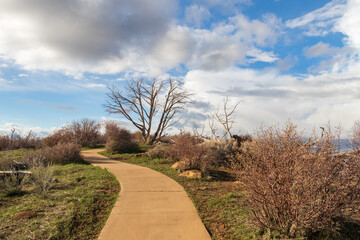 Fototapeta na wymiar Walking path with cloudscape and trees