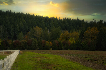 Obraz premium 2020-10-27 A HORSE PASTURE WITH EVERGREENS AND A NICE SUNSET ON THE HORIZON