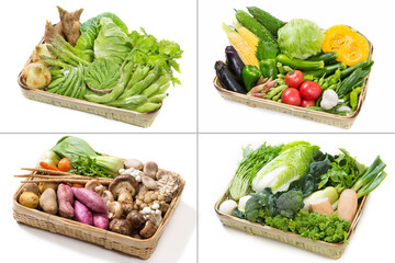 四季折々の季節野菜 © Paylessimages