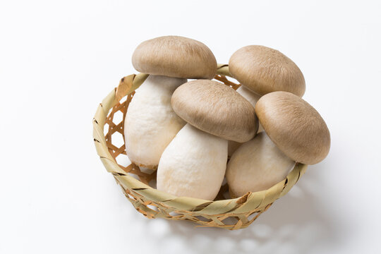 本しめじ」の写真素材 | 329件の無料イラスト画像 | Adobe Stock