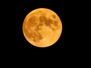 Full Harvest Moon in Bright Orange Showing Details Moonlight Lighting Up Black Sky Astrology Photography 