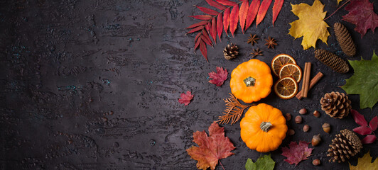 Colorful autumn or Thanksgiving  background. Mockup for seasonal concept. Copy space