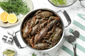 Fresh raw crayfishes in pot on white marble table, flat lay