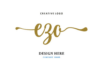 EZP lettering logo is simple, easy to understand and authoritative