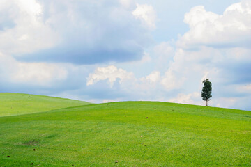 Beautiful green meadow field hill with white clouds and blue sky and tree