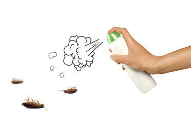Pest control. Using household insecticide to kill cockroaches on white background, closeup....