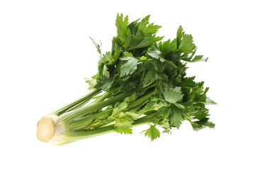 Fresh green celery bunch isolated on white