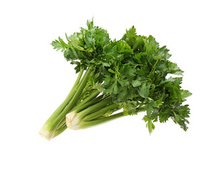 Fresh green celery bunches isolated on white