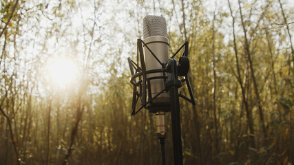 Close up. Microphone in the nature. . High quality photo