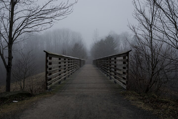 bridge in the park during foggy weather creating dark mood and atmosphere