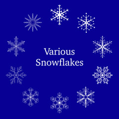 Vector illustration of various snowflakes