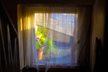 View from a small square window with sunlight shining in.