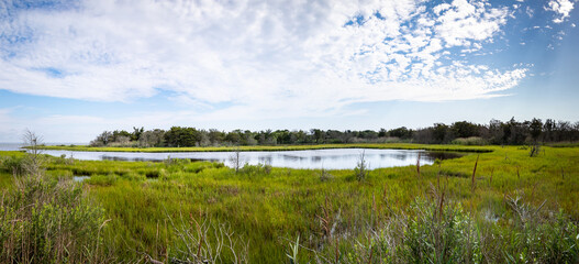 Panoramic landscape view of a tidal pond at Island Beach State Park, New Jersey, USA