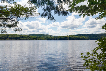 A view looking through trees, plants, and foliage to a beautiful blue lake and mountain landscape