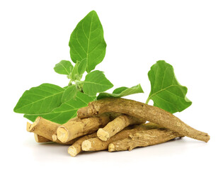 Ashwagandha Dry Root with Fresh Green Leaves in a Wooden Bowl, also known as Withania Somnifera, Ashwagandha, Indian Ginseng, Poison Gooseberry, or Winter Cherry. Isolated on White Background.