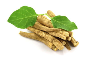 A Pile of Ashwagandha Dry Root with Fresh Green Leaves, also known as Withania Somnifera, Ashwagandha, Indian Ginseng, Poison Gooseberry, or Winter Cherry. Isolated on White Background.