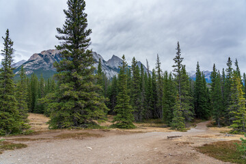 Siffleur Falls Trailhead in Kootenay Plains Ecological Reserve, Ex Coelis Mountain in the...