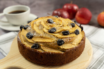 Homemade round apple cinnamon cake or bread with dried cranberries