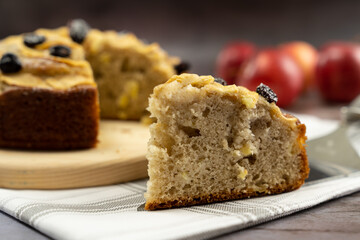Slice of apple cinnamon cake or bread with dried cranberries