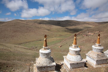 View of Typical Tibetan style residential houses with white stupas and Yak eating grass on the hill...