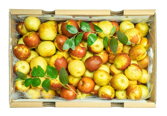 Fresh jujubes with leaves in Wooden box, Chocolate jujube with leaves in box packaging.