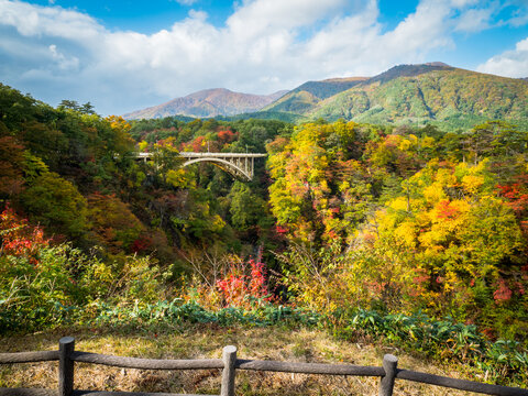 autumn in naruko gorge bridge
