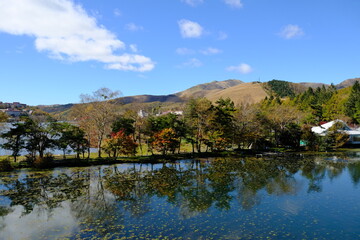 Fototapeta premium 湖に映る樹木たち