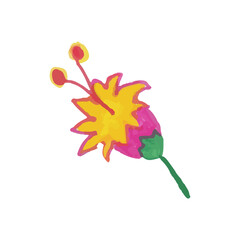 floral design elements created by hand using crayon