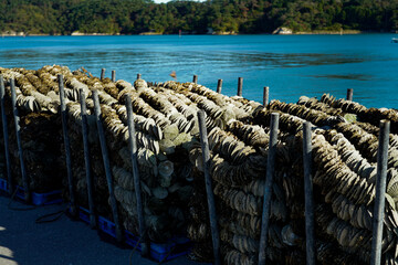 Obraz premium Sanriku.