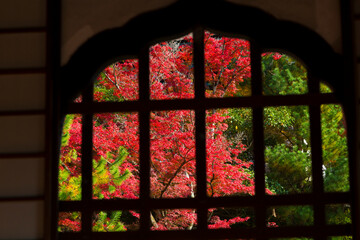 高台寺の開山堂からの紅葉