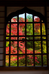 高台寺の開山堂からの紅葉