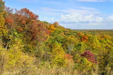 Fototapeta premium Fall trees with colorful autumn leaves cover a hillside under a cloudy blue sky in scenic Brown County State Park in rural south central Indiana.