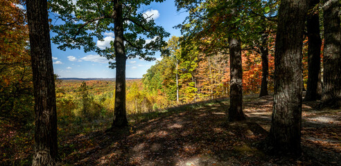 A colorful autumn vista, with trees in many beautiful fall colors of leaves, is viewed from the shade of an Indiana forest in beautiful, scenic Brown County State Park. - obrazy, fototapety, plakaty