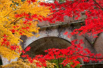 南禅寺水路閣と紅葉
