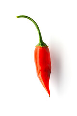 Red Hot Chili Pepper Isolated on a White Background