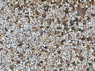 texture of the sand