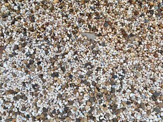 pebbles on the beach